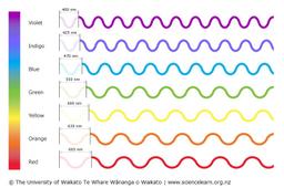 Color Perception